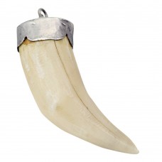 Veche amuletă anglo-indiană cu colț autentic de felină sălbatică montat în argint | cca. 1900