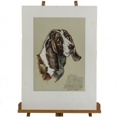 litografie Basset - Angelo Marinucci - anii '70 Italia  litografie Basset - Angelo Marinucci - anii '70 Italia