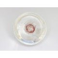 Presse-papier Murano Art Glass - maniera Sommerso 