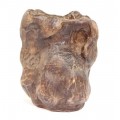 Vechi pot Bitong pentru pensule de caligrafie - Burl Wood - China sec. XIX