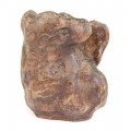 Vechi pot Bitong pentru pensule de caligrafie - Burl Wood - China sec. XIX