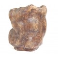 Vechi pot Bitong pentru pensule de caligrafie - Burl Wood - China sec. XIX