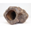 Vechi pot Bitong pentru pensule de caligrafie - Burl Wood - China sec. XIX