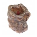 Vechi pot Bitong pentru pensule de caligrafie - Burl Wood - China sec. XIX