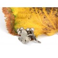 Pandant - miniatura din argint | Ciorchine de struguri | Italia