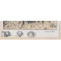 Litografie Steinlen Theophile Alexandre - Floreal - cca 1890