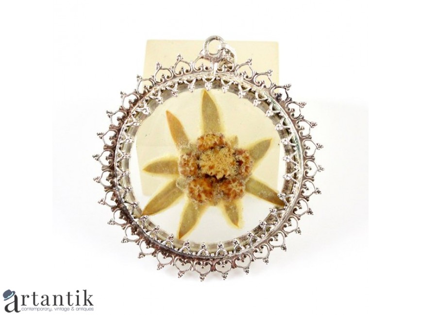 Nod compromise chief vechi pandant " Edelweiss". floare de colt & argint. atelier German