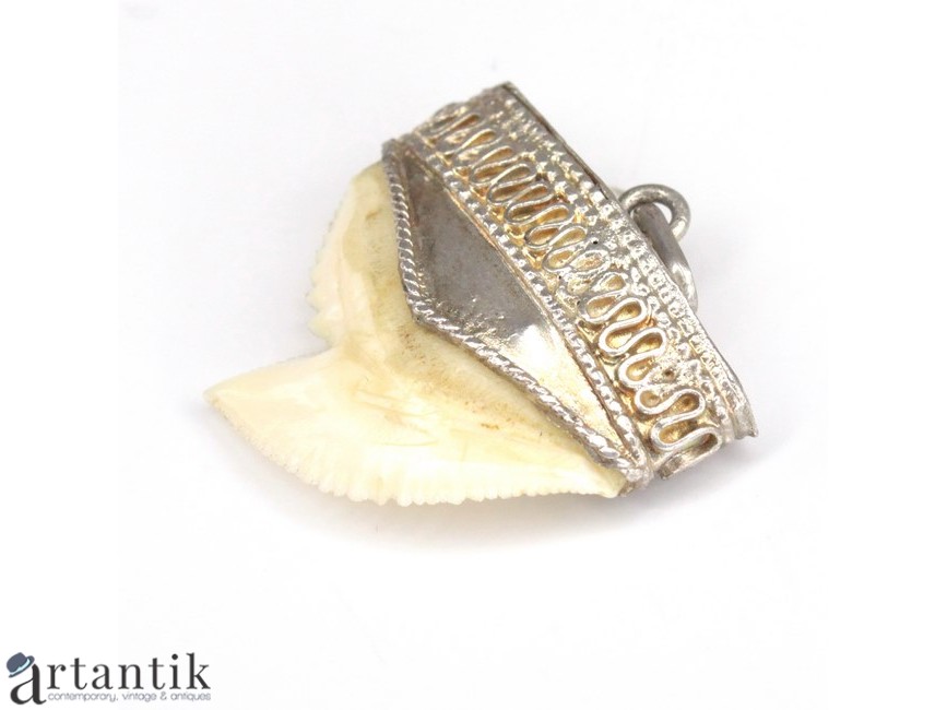 Decision Literacy Pride Veche amuletă cu dintre de rechin-tigru | montură în argint | British Raj  cca.1880
